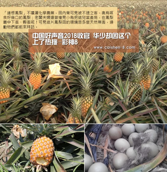 中国好声音2018收官 华少却因这个上了热搜-彩神8(图1) 彩神8官网