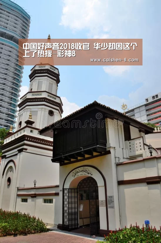 中国好声音2018收官 华少却因这个上了热搜-彩神8(图3) 彩神8