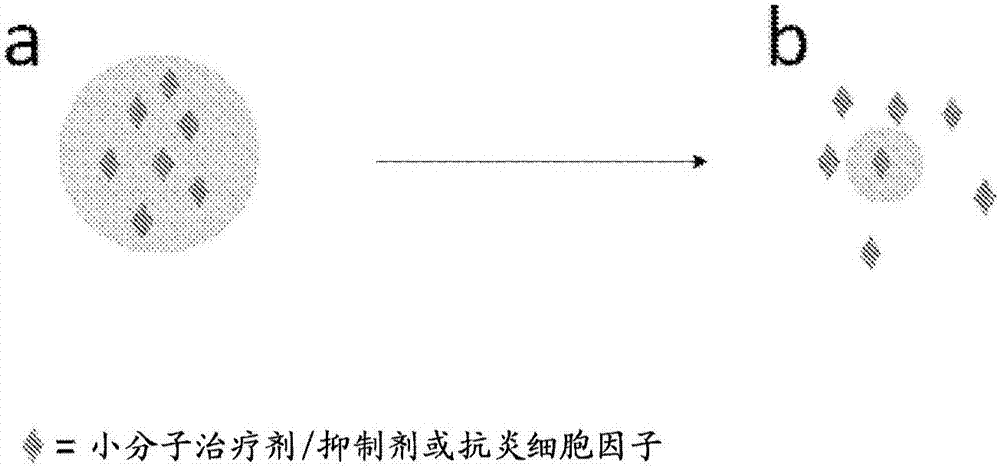 彩神8
