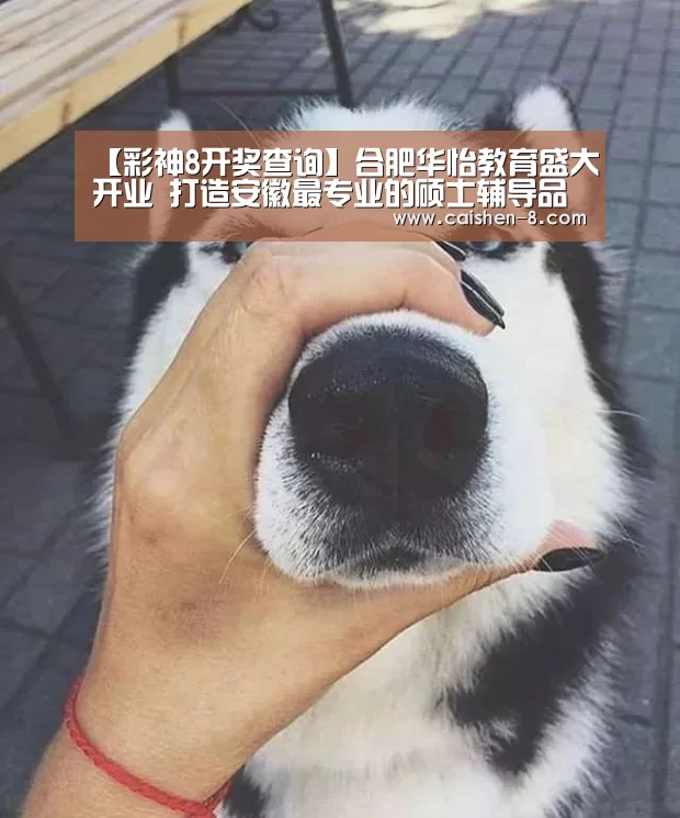 彩神8官网