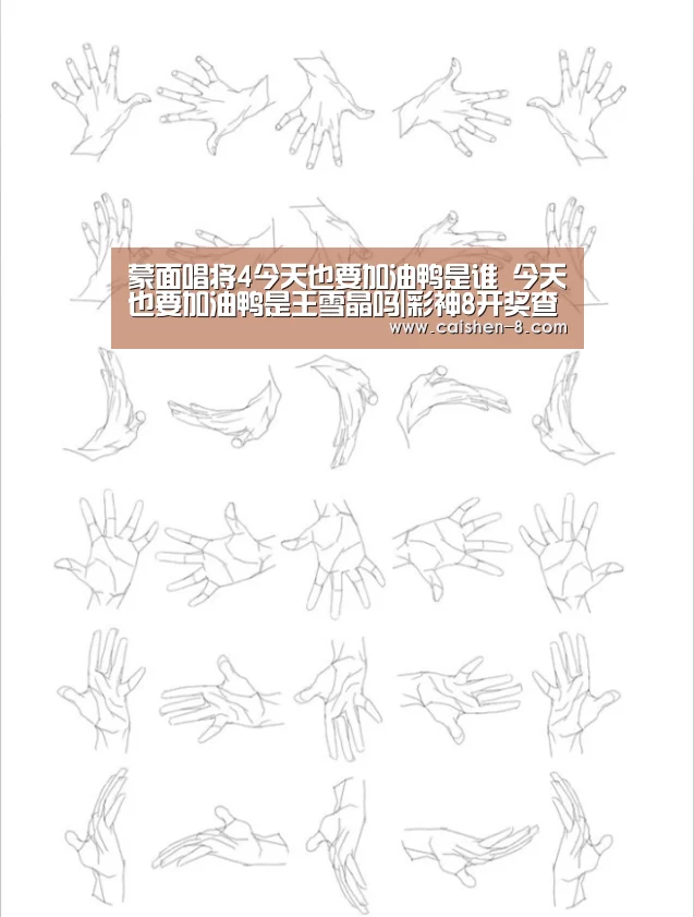 蒙面唱将4今天也要加油鸭是谁 今天也要加油鸭是王雪晶吗|彩神8开奖查询(图1) 彩神8开奖查询