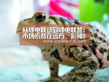 从煤电联动到煤电联营:市场依然在远方‘彩神8开奖查询’(图1) 彩神8走势分析