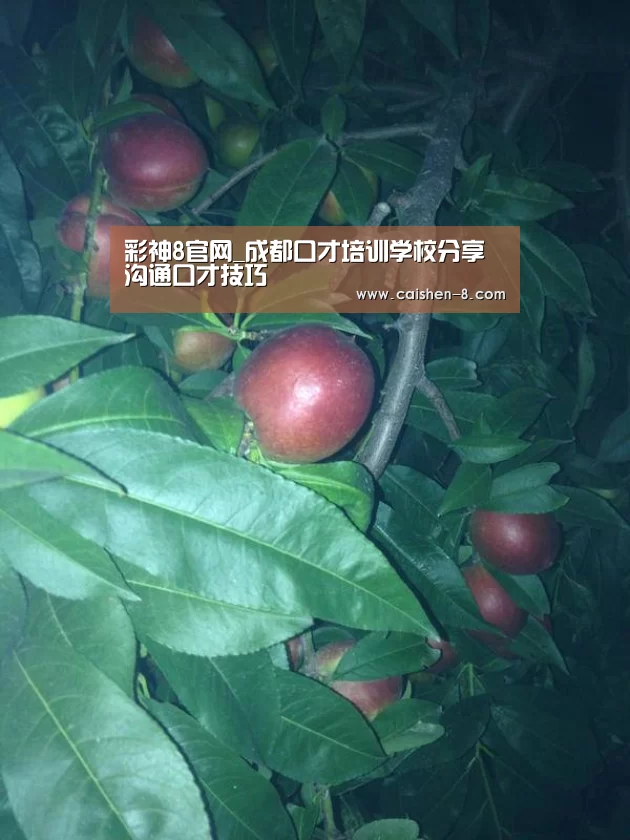 彩神8官网_成都口才培训学校分享沟通口才技巧(图1) 彩神8走势分析