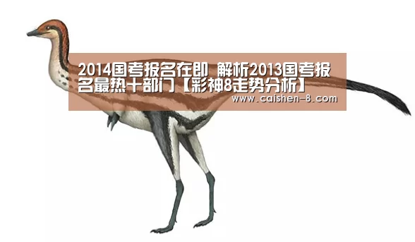 2014国考报名在即 解析2013国考报名最热十部门【彩神8走势分析】(图4) 彩神8官网