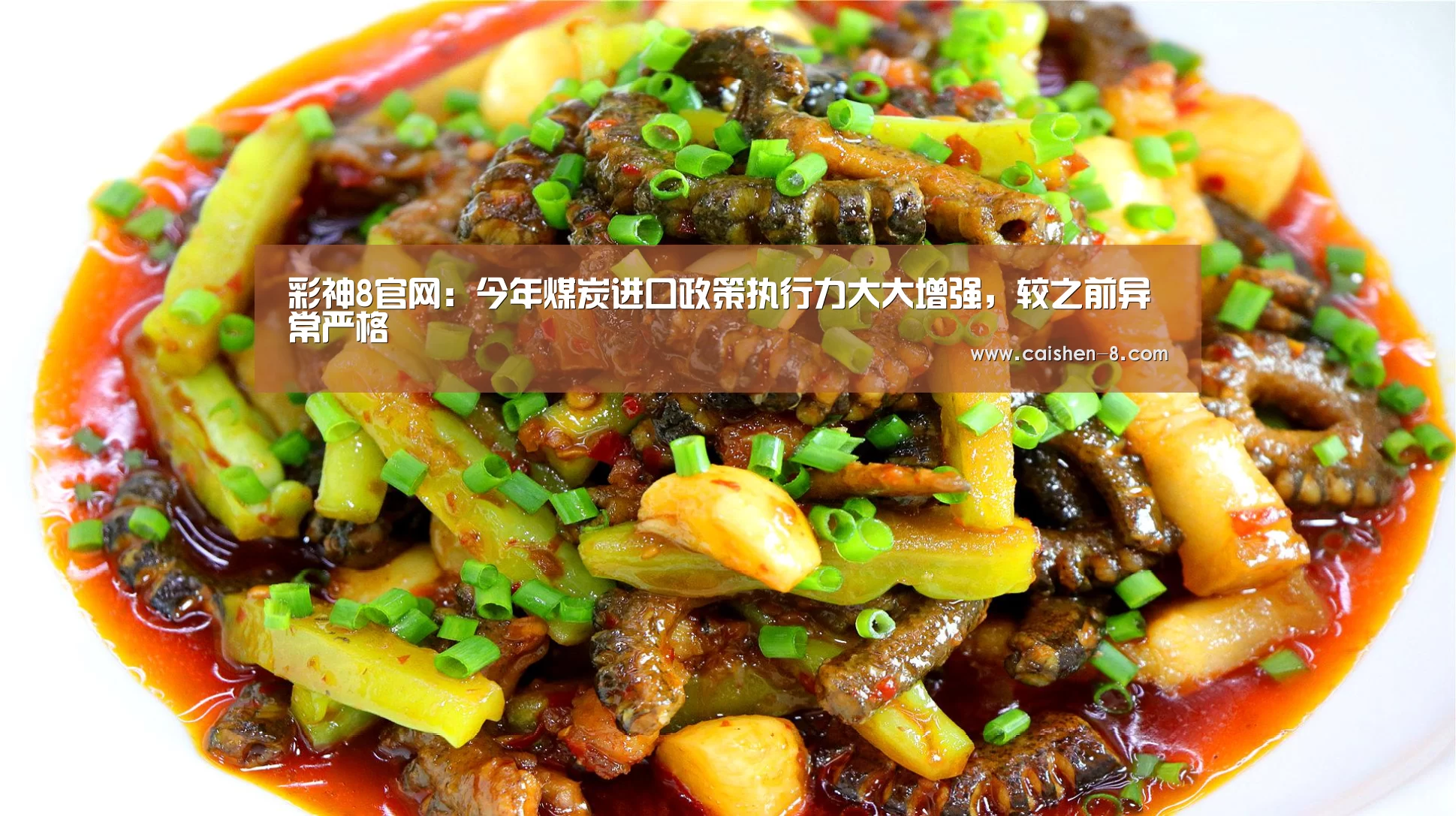 彩神8官网:今年煤炭进口政策执行力大大增强,较之前异常严格(图3) 彩神8走势分析