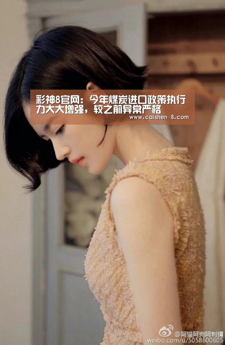 彩神8官网:今年煤炭进口政策执行力大大增强,较之前异常严格(图4) 彩神8官网
