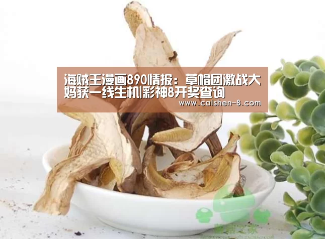 海贼王漫画890情报:草帽团激战大妈获一线生机|彩神8开奖查询(图2) 彩神8
